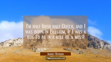 I&#039;m half-Irish half-Dutch and I was born in Belgium. If I was a dog I&#039;d be in a hell of a mess! Audrey Hepburn Quotes