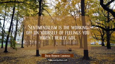 Sentimentalism is the working off on yourself of feelings you haven&#039;t really got. David Herbert Lawrence Quotes
