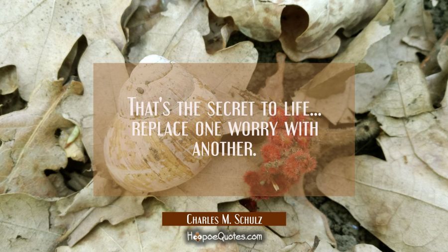 That's the secret to life... replace one worry with another. Charles M. Schulz Quotes