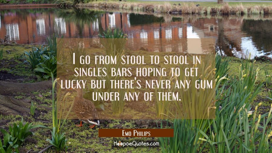 I go from stool to stool in singles bars hoping to get lucky but there