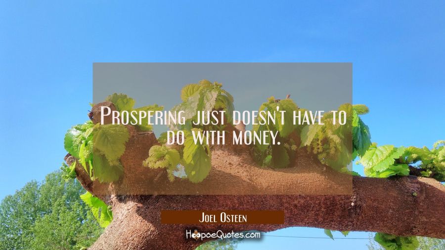 Prospering just doesn't have to do with money. Joel Osteen Quotes