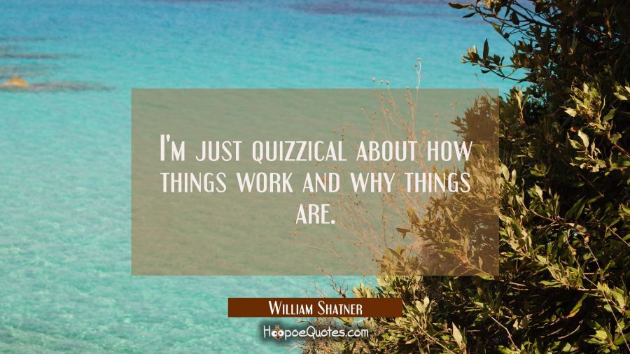 I'm just quizzical about how things work and why things are. William Shatner Quotes
