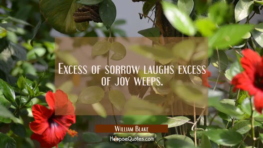 Excess of sorrow laughs excess of joy weeps. William Blake Quotes