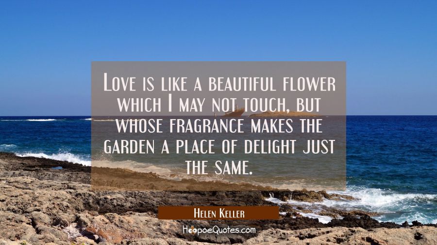 Love is like a beautiful flower which I may not touch but whose