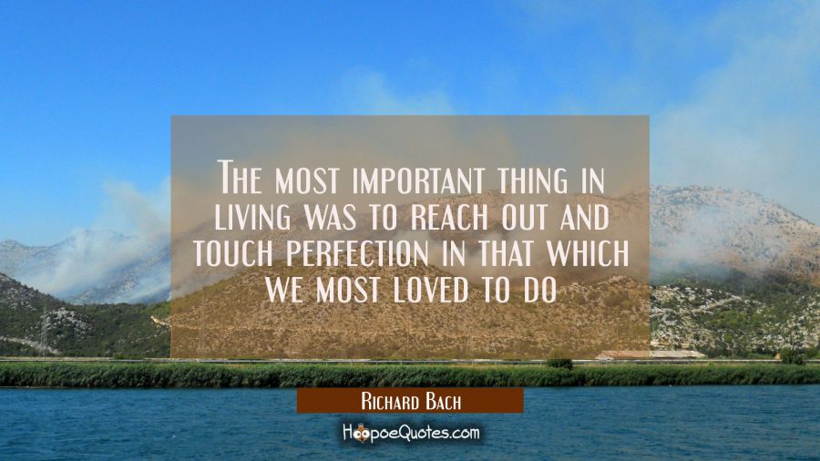 The most important thing in living was to reach out and touch perfection in that which we most love Richard Bach Quotes
