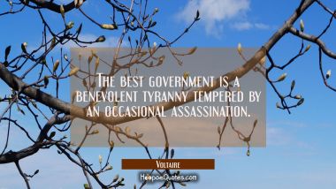 The best government is a benevolent tyranny tempered by an occasional assassination. Voltaire Quotes