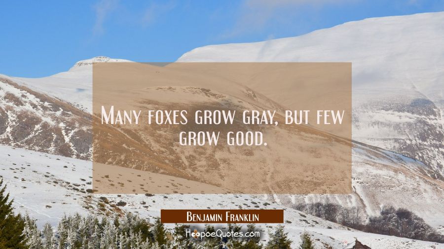 Many foxes grow gray but few grow good. Benjamin Franklin Quotes
