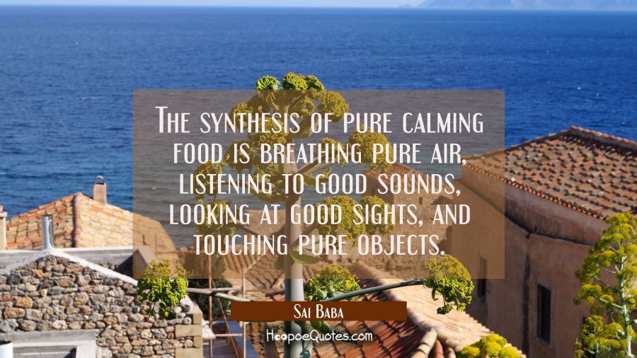 The synthesis of pure calming food is breathing pure air listening to good sounds looking at good s Sai Baba Quotes