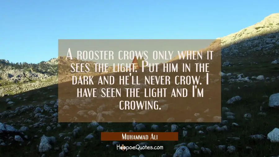 A rooster crows only when it sees the light. Put him in the dark and he&#039;ll never crow. I have seen the light and I&#039;m crowing. Muhammad Ali Quotes