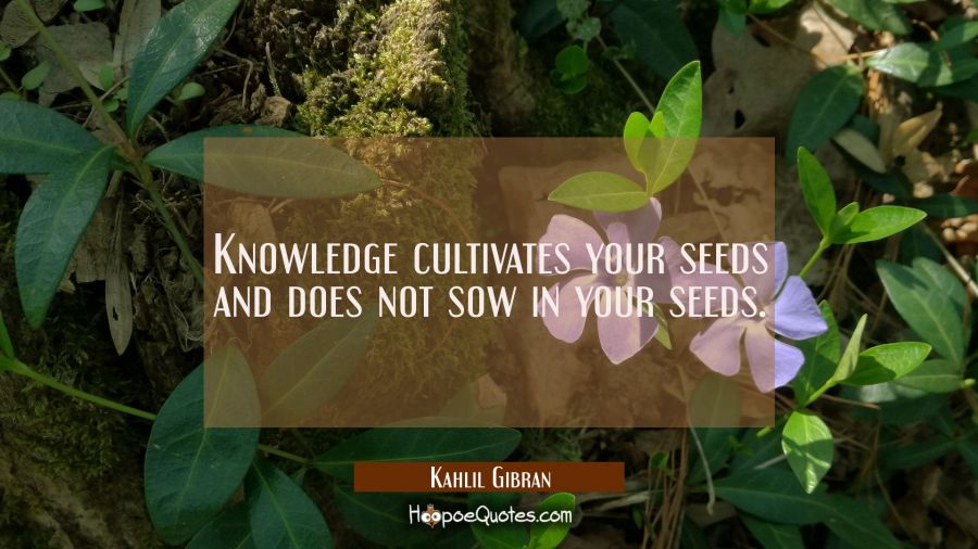Knowledge cultivates your seeds and does not sow in your seeds. Kahlil Gibran Quotes