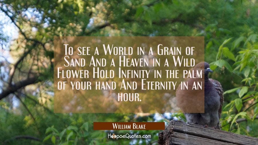 To see a World in a Grain of Sand And a Heaven in a Wild Flower Hold Infinity in the palm of your h William Blake Quotes