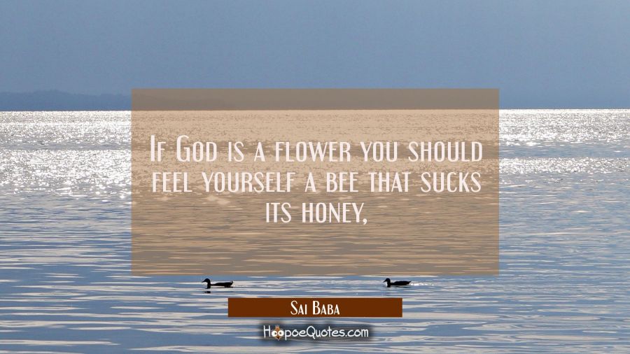 If God is a flower you should feel yourself a bee that sucks its honey, Sai Baba Quotes