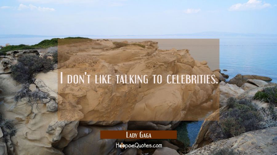 I don't like talking to celebrities. Lady Gaga Quotes