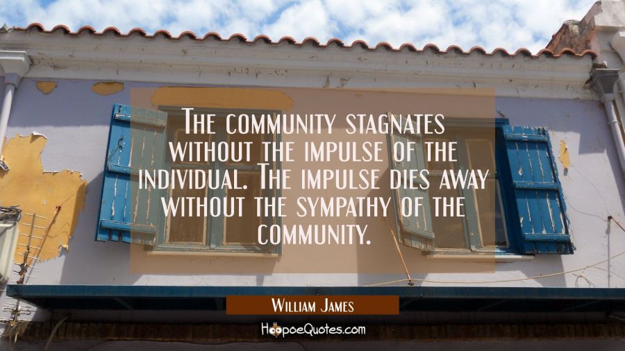 The community stagnates without the impulse of the individual. The impulse dies away without the sy William James Quotes