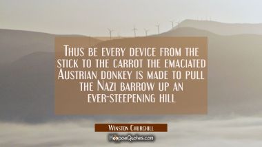 Thus be every device from the stick to the carrot the emaciated Austrian donkey is made to pull the