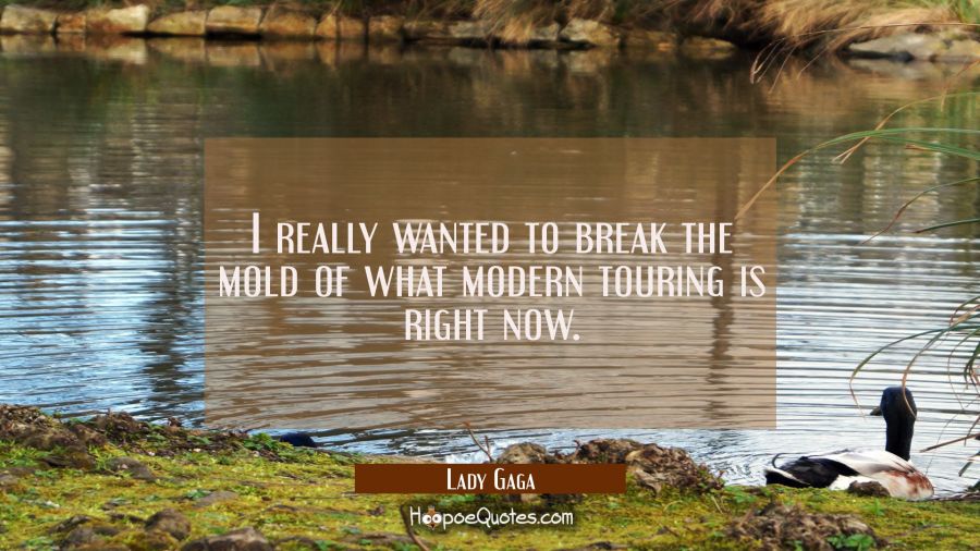 I really wanted to break the mold of what modern touring is right now. Lady Gaga Quotes