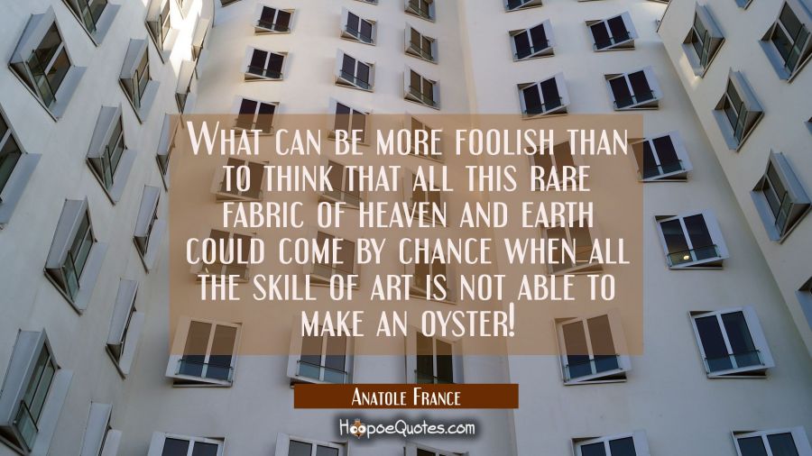 What can be more foolish than to think that all this rare fabric of heaven and earth could come by  Anatole France Quotes
