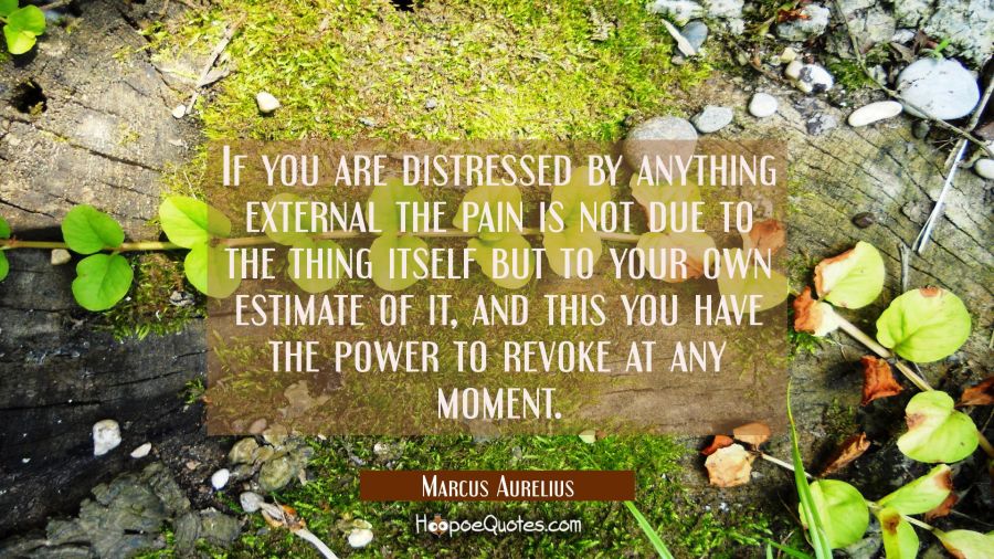 If you are distressed by anything external the pain is not due to the thing itself but to your own  Marcus Aurelius Quotes