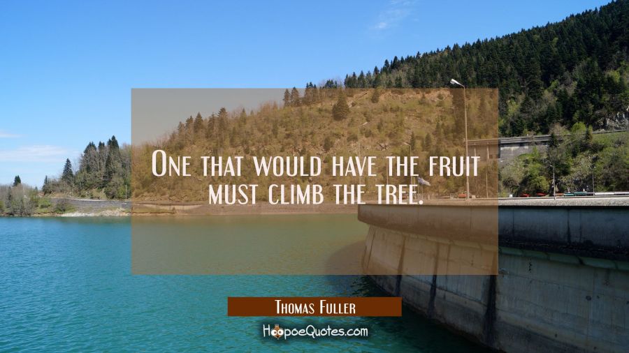 One that would have the fruit must climb the tree. Thomas Fuller Quotes