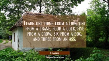 Learn one thing from a lion, one from a crane, four a cock, five from a crow, six from a dog, and t Chanakya Quotes