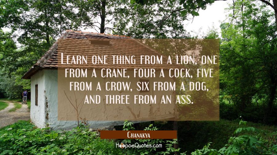 Learn one thing from a lion, one from a crane, four a cock, five from a crow, six from a dog, and t Chanakya Quotes