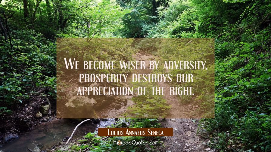 We become wiser by adversity, prosperity destroys our appreciation of the right. Lucius Annaeus Seneca Quotes