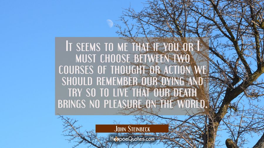 It seems to me that if you or I must choose between two courses of thought or action we should reme John Steinbeck Quotes