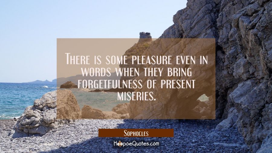 There is some pleasure even in words when they bring forgetfulness of present miseries. Sophocles Quotes