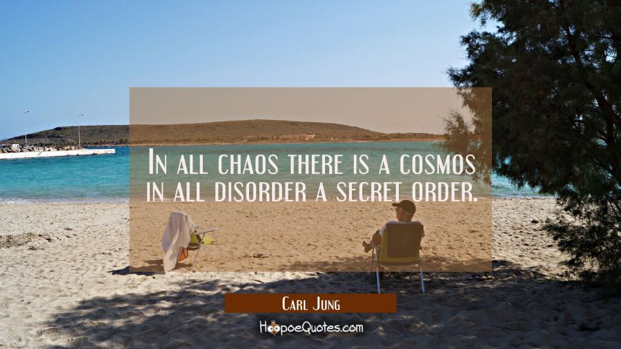 In all chaos there is a cosmos in all disorder a secret order. Carl Jung Quotes