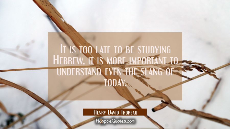 It is too late to be studying Hebrew, it is more important to understand even the slang of today. Henry David Thoreau Quotes