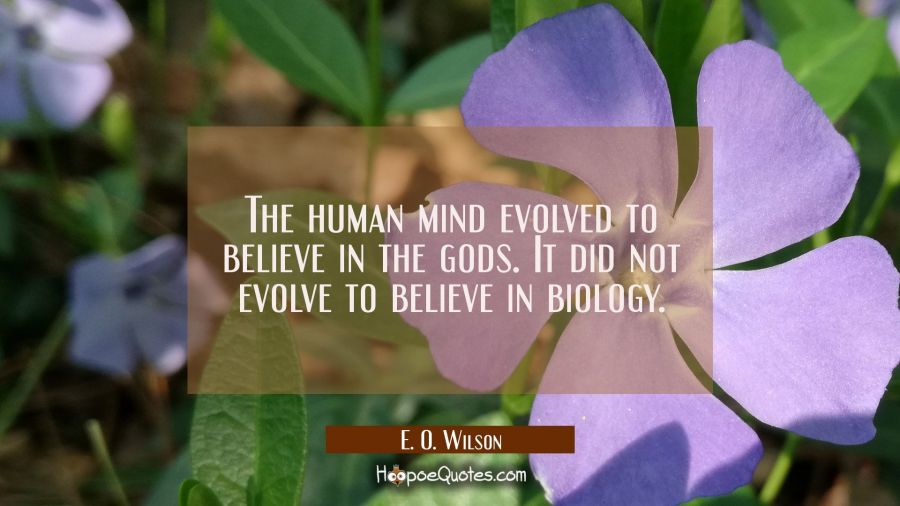 The human mind evolved to believe in the gods. It did not evolve to believe in biology. E. O. Wilson Quotes