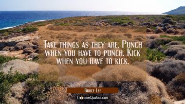 Take things as they are. Punch when you have to punch. Kick when you have to kick.