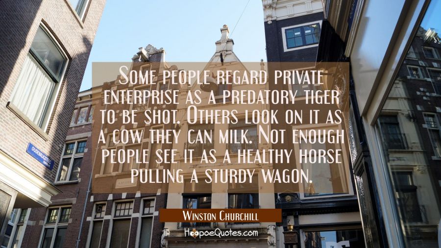 Some people regard private enterprise as a predatory tiger to be shot. Others look on it as a cow t Winston Churchill Quotes