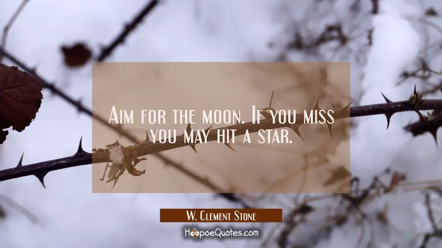 Aim for the moon. If you miss you may hit a star. W. Clement Stone Quotes