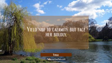 Yield not to calamity but face her boldly.