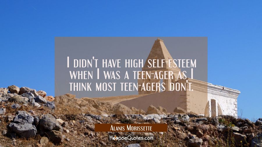 I didn't have high self-esteem when I was a teen-ager as I think most teen-agers don't. Alanis Morissette Quotes