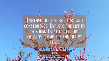 Observe the life by cause and consequence. Explore the life by wisdom. Treat the life by equality. Buddha Quotes