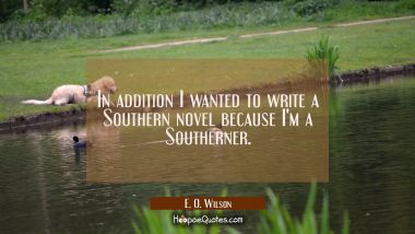In addition I wanted to write a Southern novel because I&#039;m a Southerner.