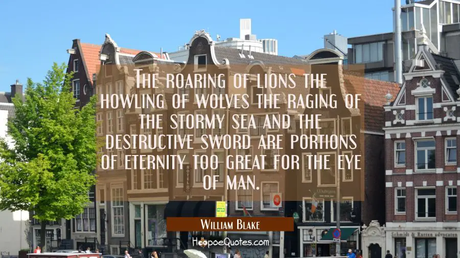 The roaring of lions the howling of wolves the raging of the stormy sea and the destructive sword a William Blake Quotes