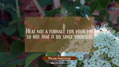 Heat not a furnace for your foe so hot that it do singe yourself. William Shakespeare Quotes