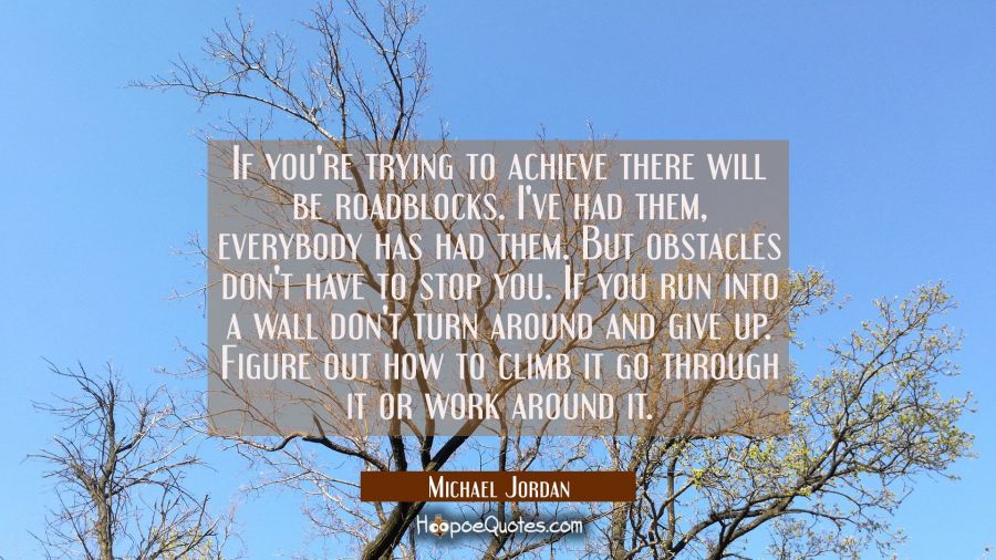 If you're trying to achieve there will be roadblocks. I've had them, everybody has had them. But ob Michael Jordan Quotes