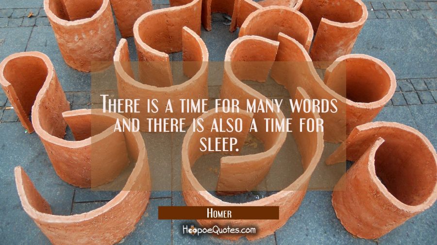 There is a time for many words and there is also a time for sleep. Homer Quotes