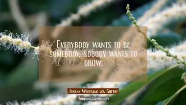 Everybody wants to be somebody, nobody wants to grow.