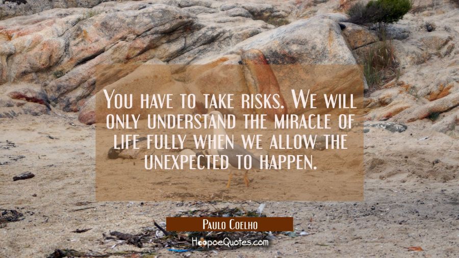You have to take risks. We will only understand the miracle of life fully when we allow the unexpec Paulo Coelho Quotes