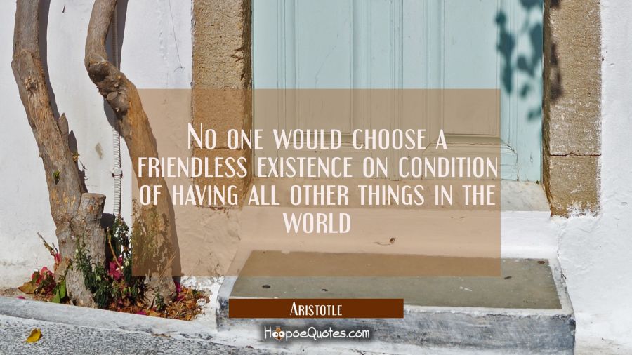 No one would choose a friendless existence on condition of having all other things in the world Aristotle Quotes