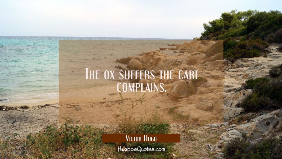 The ox suffers the cart complains. Victor Hugo Quotes