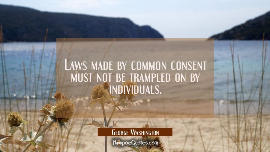 Laws made by common consent must not be trampled on by individuals. George Washington Quotes