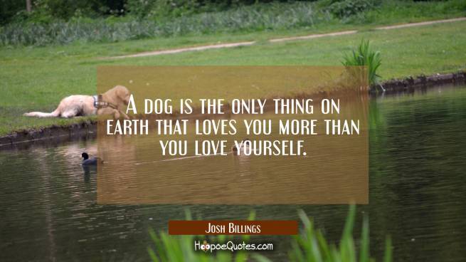 A dog is the only thing on earth that loves you more than you love yourself.