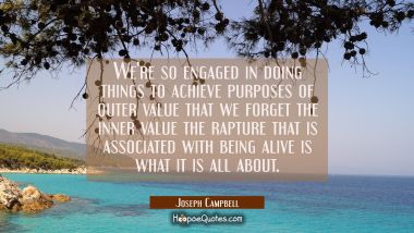 We&#039;re so engaged in doing things to achieve purposes of outer value that we forget the inner value 