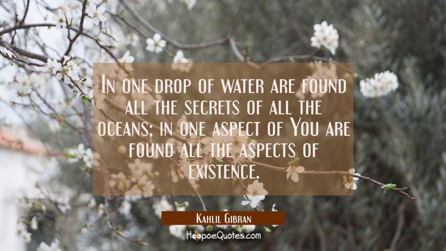 In one drop of water are found all the secrets of all the oceans; in one aspect of You are found all the aspects of existence. Kahlil Gibran Quotes
